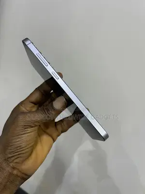 Samsung Galaxy S25+ 256 GB Gray
