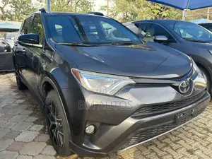 Toyota RAV4 2018 Gray