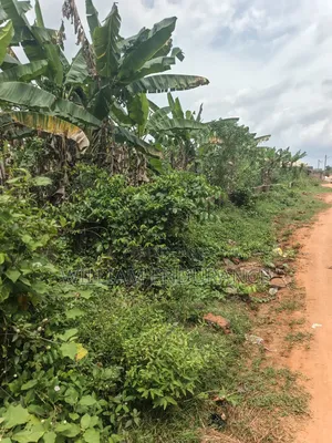 2plots of Land for Sale at Off Ekenwan Road