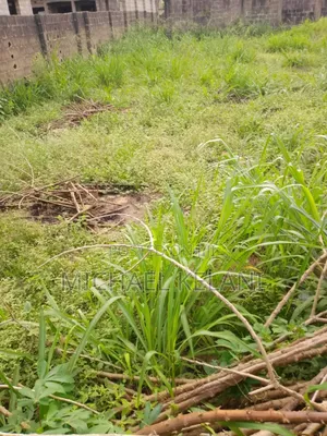 A Buy And Build In Epe Lagos