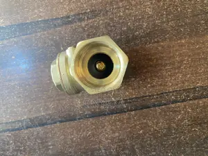1niches Brass Non-Return Valve