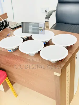 Smart Ceiling Speaker Set Up