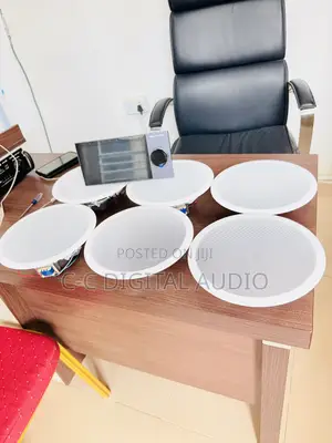 Smart Ceiling Speaker Set Up