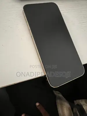 Apple iPhone 13 Pro Max 256 GB Gold