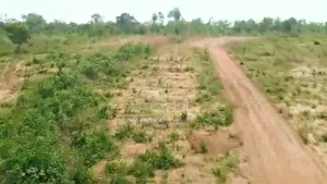 Affordable Dry Land for Sale in Alapako-Oni, Obafemi Owode, Ogun State