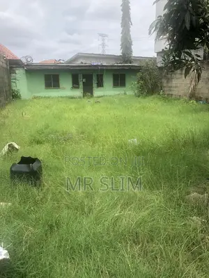 Half Plot of Land Addo Road, Ajah