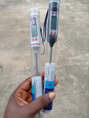 Digital Food Thermometer