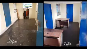 Professional Cleaning Service