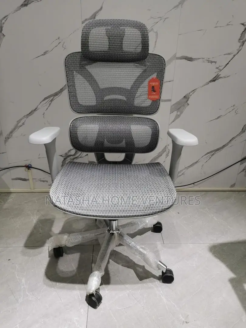 Ergonomic Mesh Office Chair