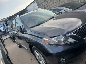 Lexus RX 2010 Gray