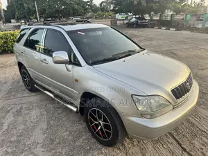 Lexus RX 2003 Silver