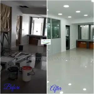 Professional Cleaning Service