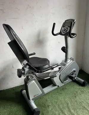 Recumbent Bike (Commercial )