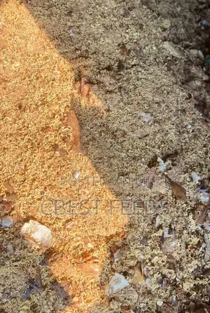 Dog Indomine