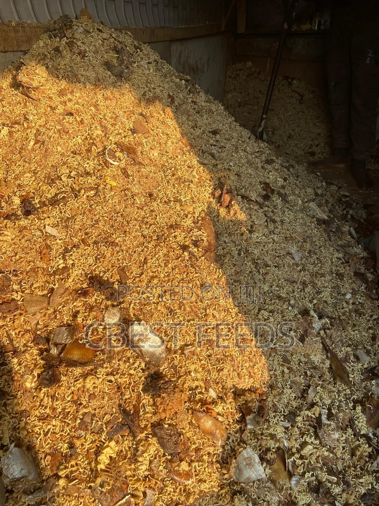 Dog Indomine