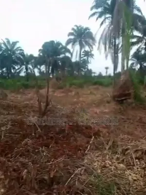 Land For Sell