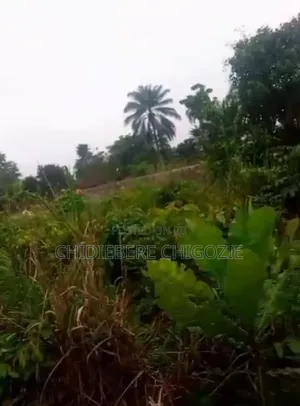 Land For Sell