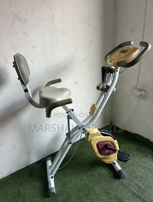 Xbike With Back Extension