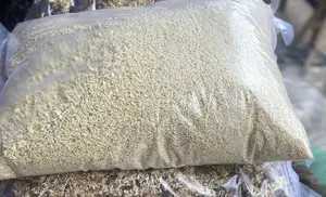 Unmixed Dog Indomine