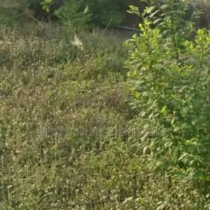 Joint Venture Land Available