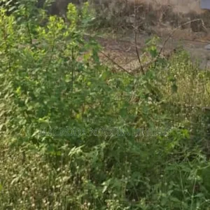 A Strategic Portion of Land Available