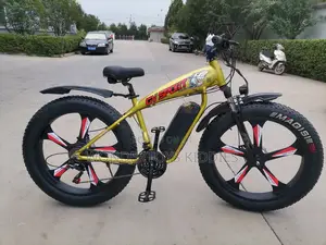 Gv Sport Electric Fat Tyre Bicycle