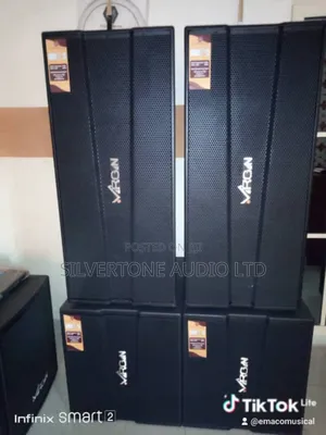 High Quality Virgin Speaker,
