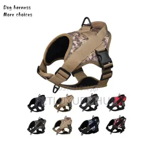 Dura Harness