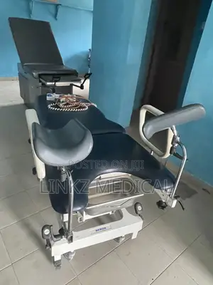Electric Delivery Bed