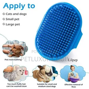 Silicone Brush