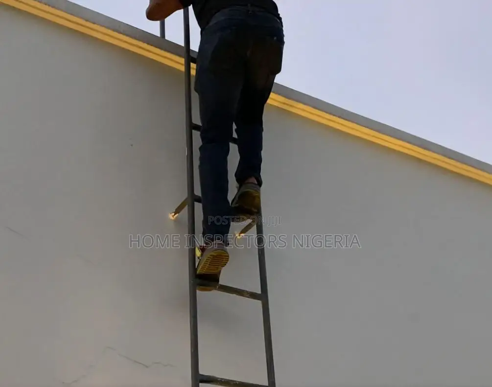 Pro Home, Building , And Snag Inspections