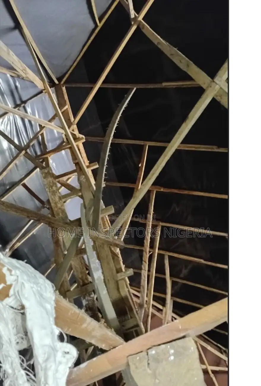 Pro Home, Building , And Snag Inspections