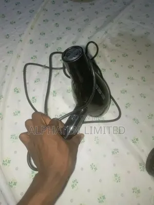 Professional Hair Dryer