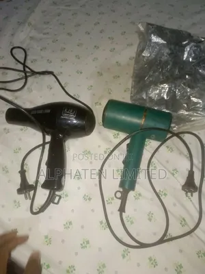 Professional Hair Dryer