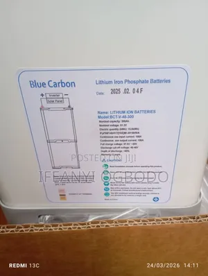 Blue Carbon Lithium Battery 15kwh 51.2v