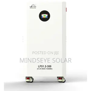 Leoch 16kwh 51.2v 300ah Lithium Battery (Lifepo4) Nigeria