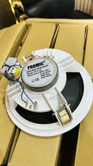Passive 50w Promic Woofer Ceiling Speakers