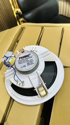 Passive 50w Promic Woofer Ceiling Speakers