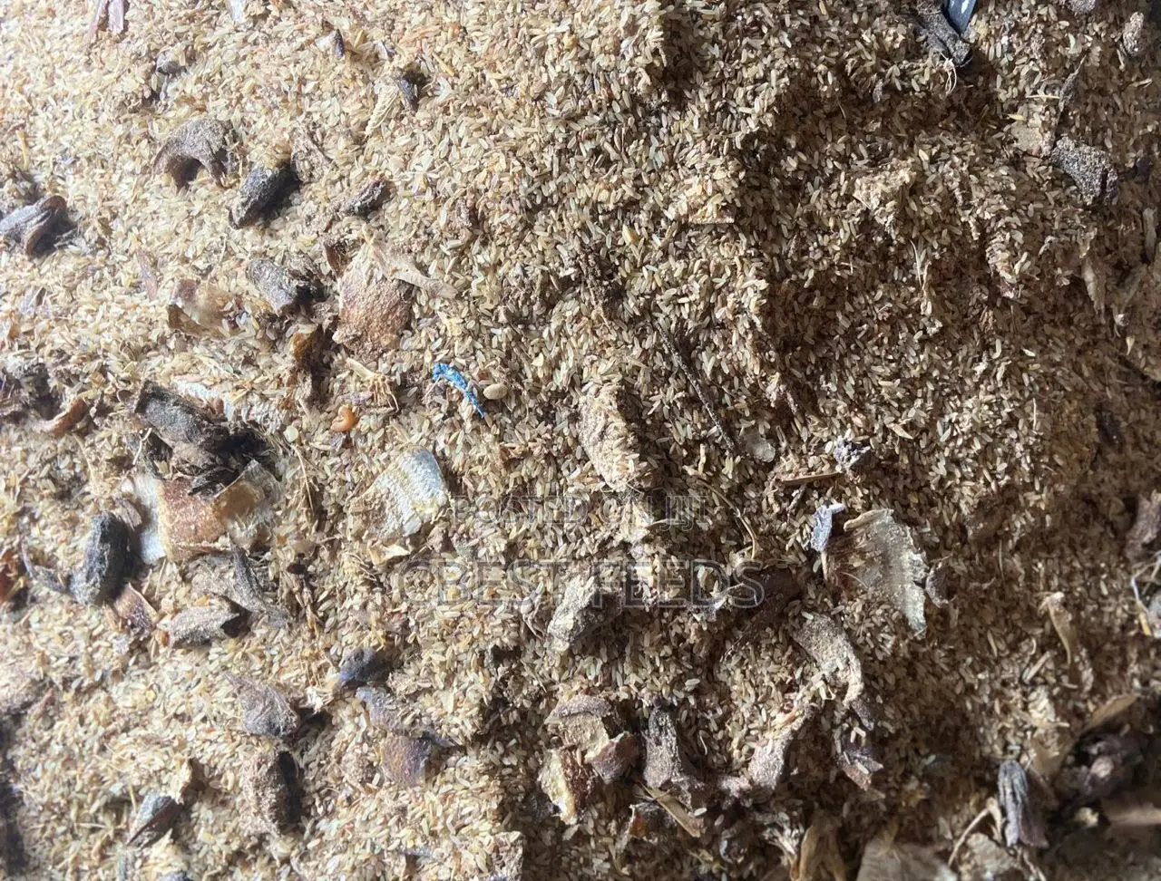 Dog Mixed and Unmixed Rice