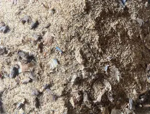 Dog Mixed and Unmixed Rice