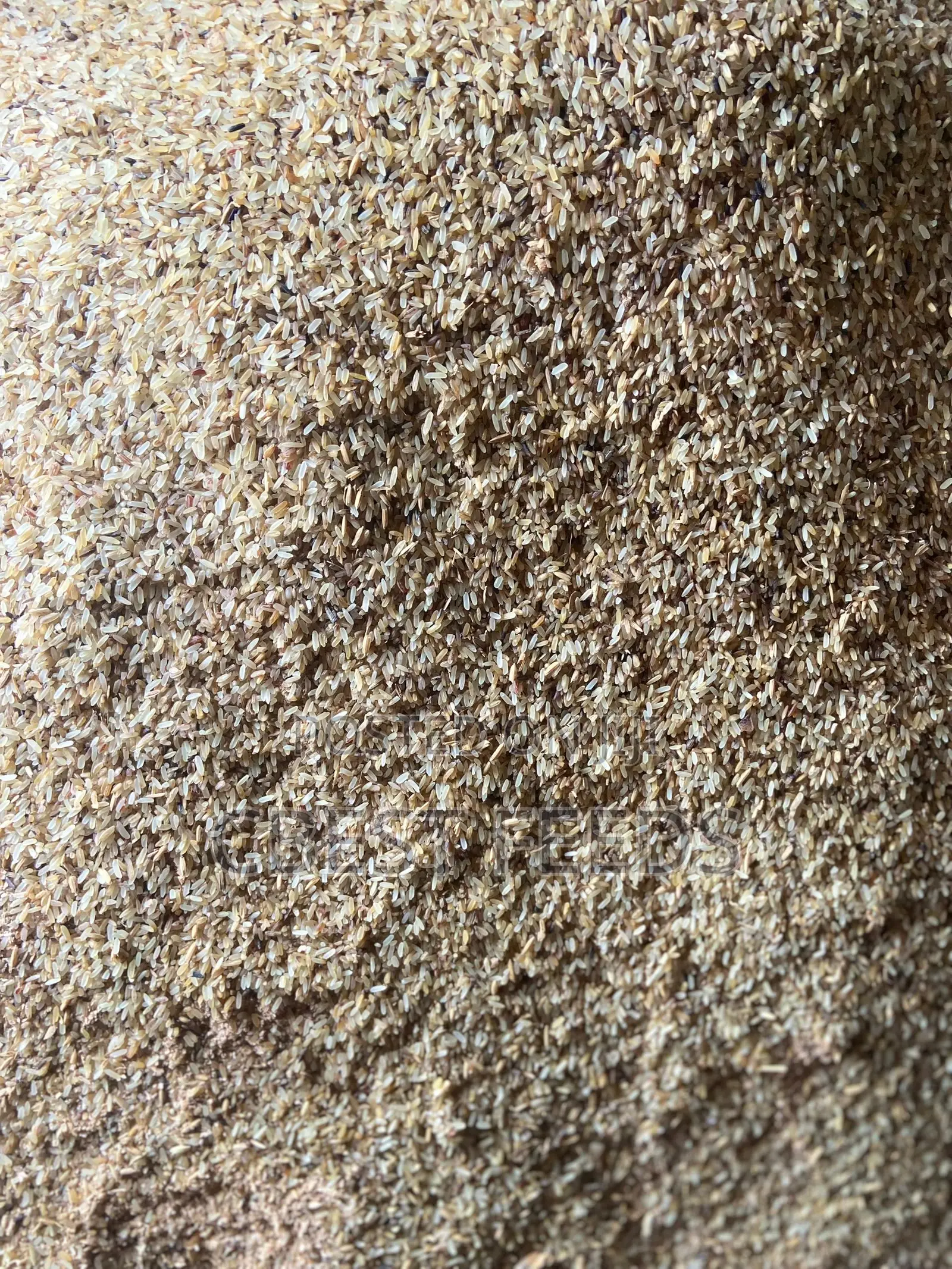 Dog Mixed and Unmixed Rice