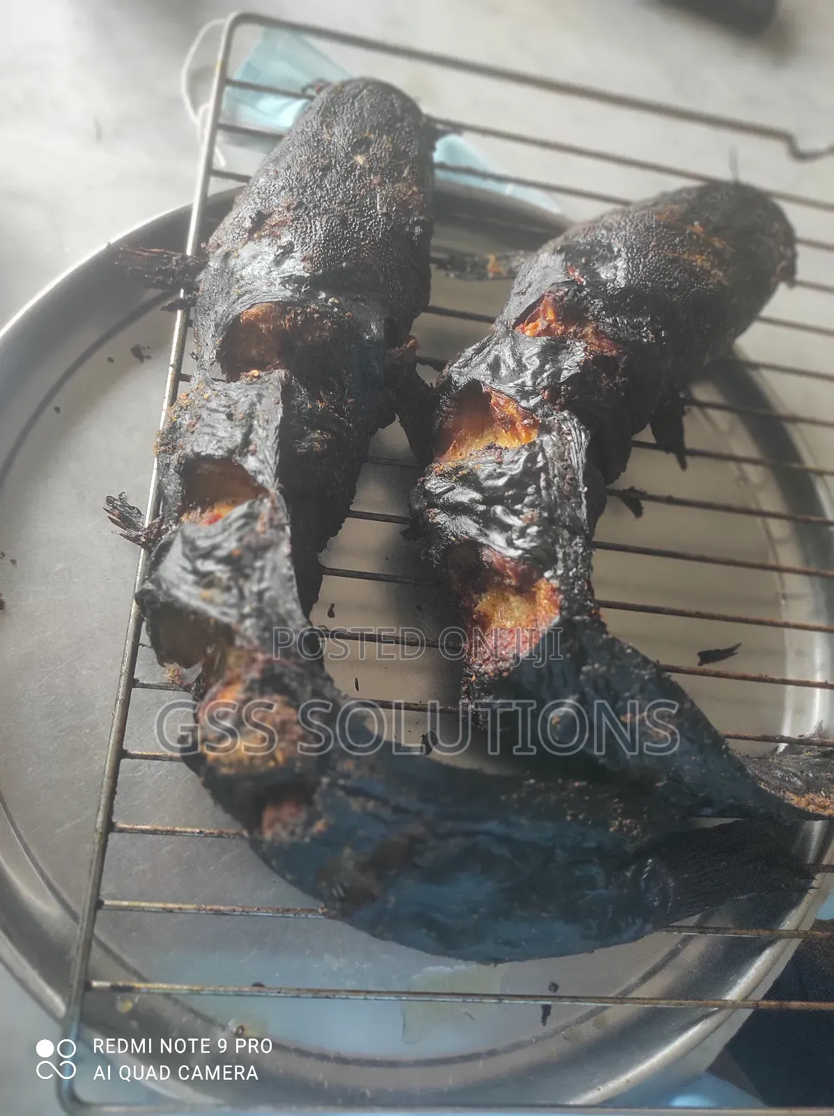 Oven Smoked Barbecue Catfish