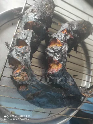 Oven Smoked Barbecue Catfish