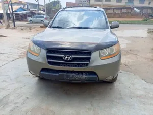 Hyundai Santa Fe 2009 Gray