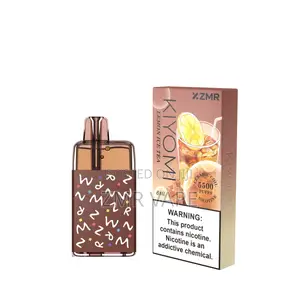 ZMR Kiyomi 30mg Icy Fruit Series Pod Kit 6ml Prefilled E-Cigarette