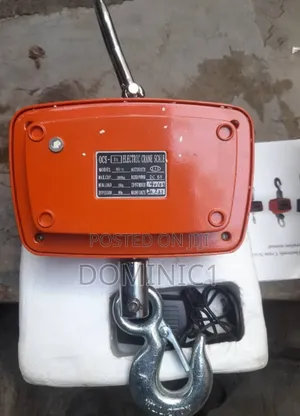 Ocs Electric Crane Scale 1-ton (1000 Kg)