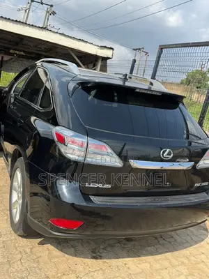 Lexus RX 2011 Black