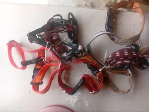 Puppy Collar