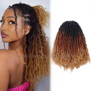 Human Hair Kinky Crochet