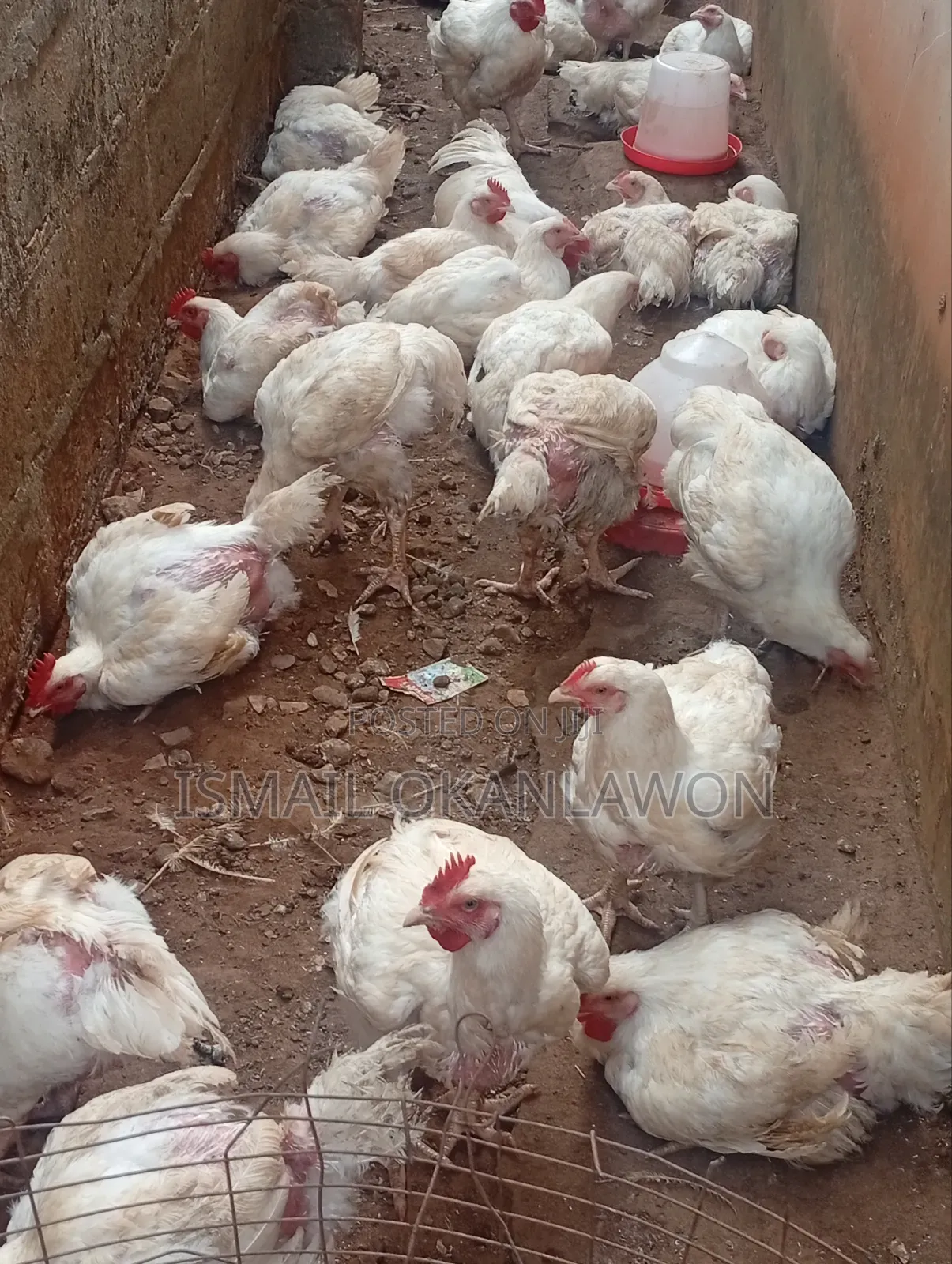 Farm Manager